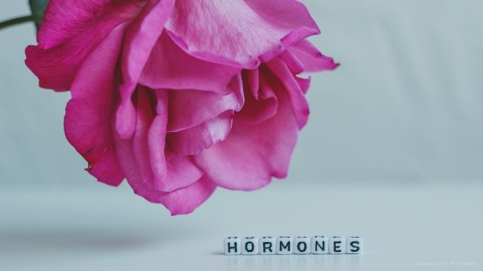 Hormone Balance