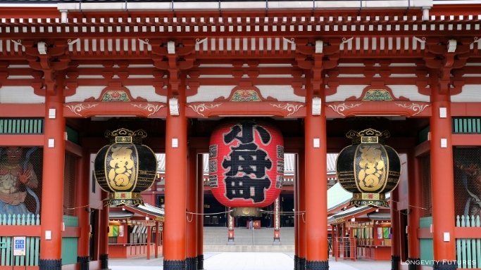 Traditional Japanese food