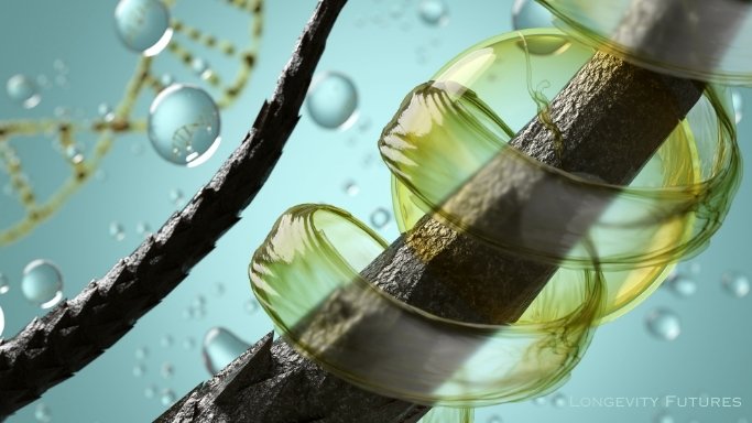 Beautiful healthy hair