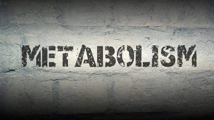 Metabolism Signals - Insulin Sensitivity