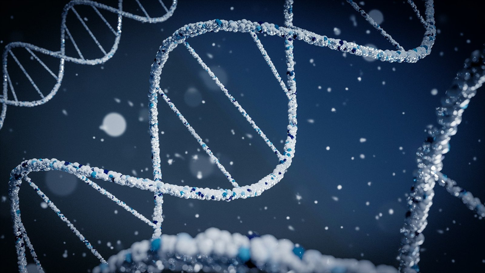 DNA helix — sirtuins and longevity gene expression require NAD+