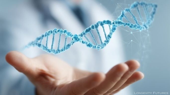 DNA strand - multi-attack longevity strategy