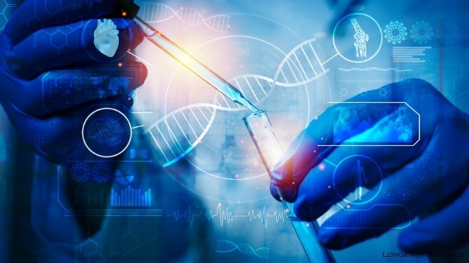 Cellular Renewal and Autophagy